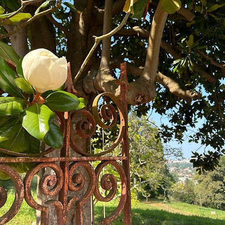 Domaine De La Tisnere Bed & Breakfast Gelos Ngoại thất bức ảnh