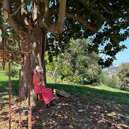 Domaine De La Tisnere Bed & Breakfast Gelos Ngoại thất bức ảnh