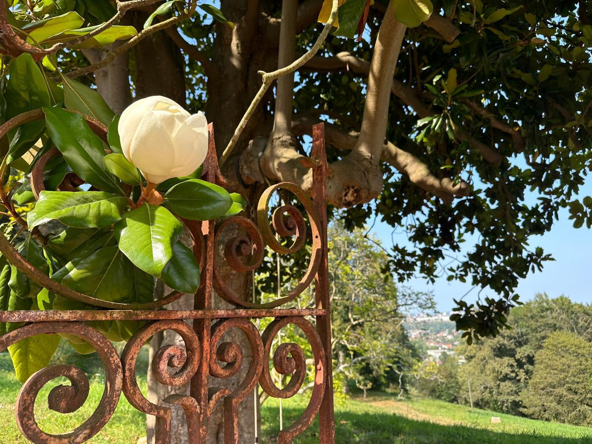 Domaine De La Tisnere Bed & Breakfast Gelos Ngoại thất bức ảnh
